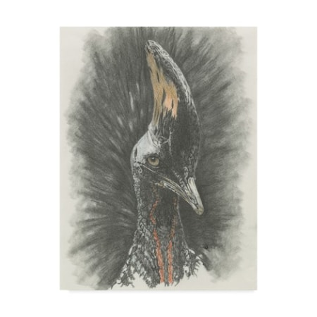 Barbara Keith 'Tropical Bird' Canvas Art,35x47